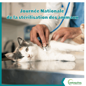 Journée nationale de la stérilisation des animaux