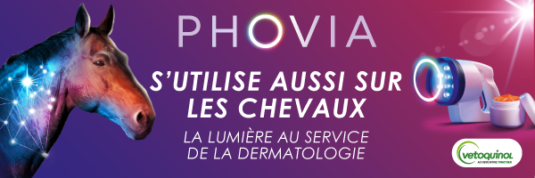 PHOVIA® s’utilise aussi chez les équidés !