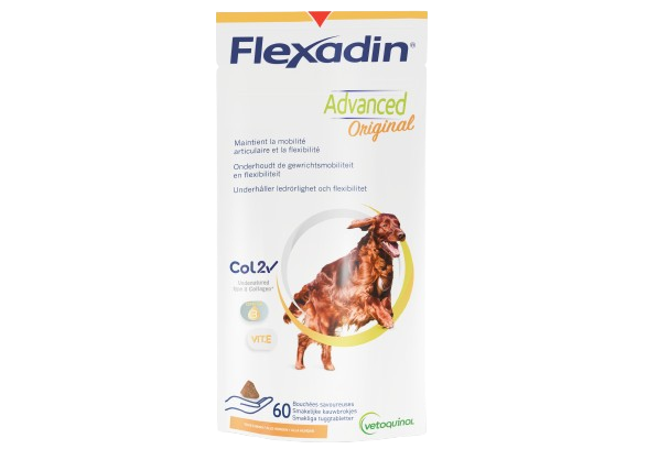  Mobilité : Vetoquinol s’engage pour le bien-être des animaux de compagnie