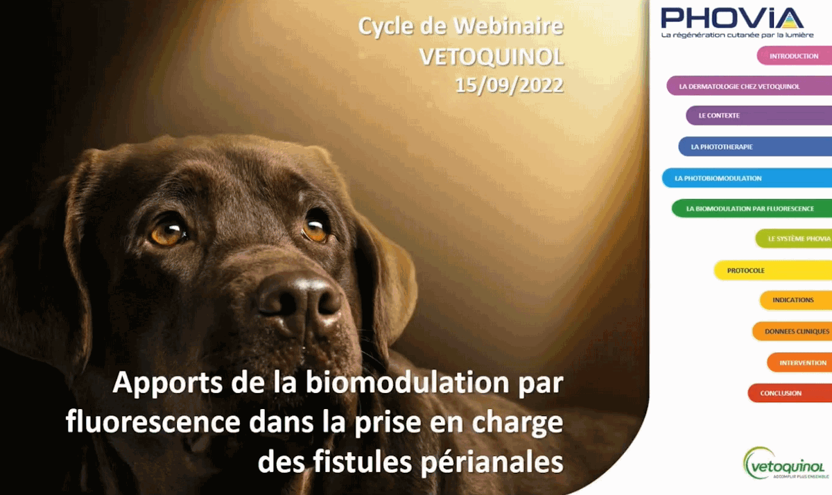 [Webconférence] Actualités sur la prise en charge des fistules périanales et apport de la biomodulation par fluorescence