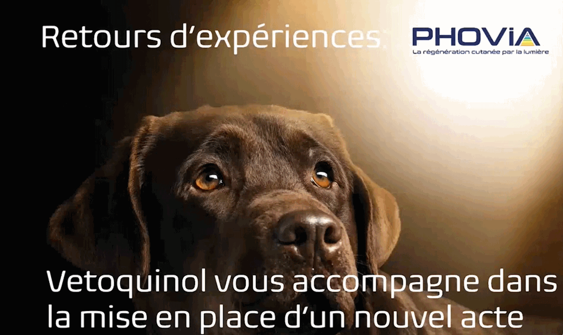 PHOVIA retour d'expérience