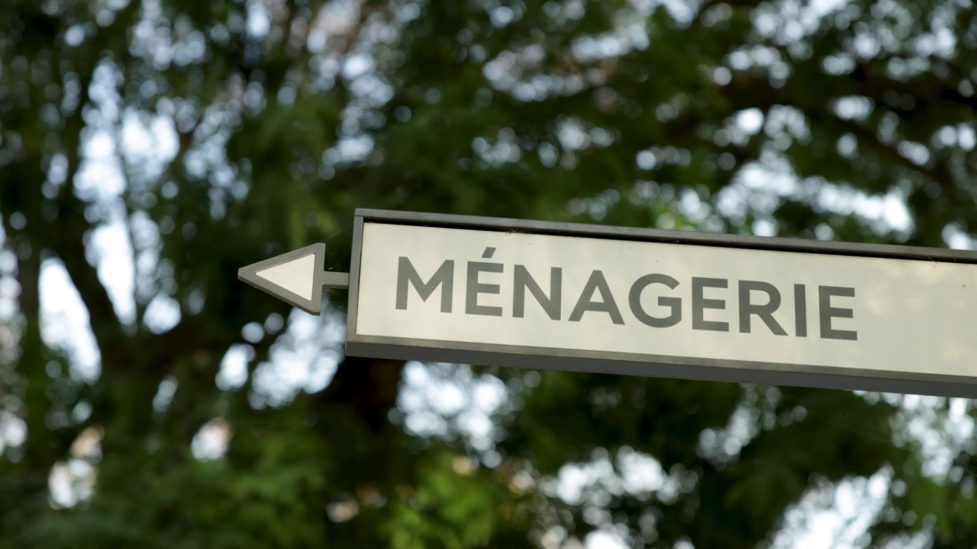 PHOVIA : La ménagerie