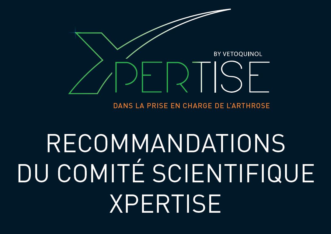Xpertise logo