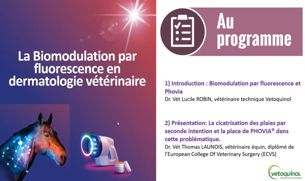 cicatrisation-des-plaies-par-seconde-intention