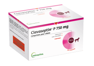 Clavaseptin 750 packshot