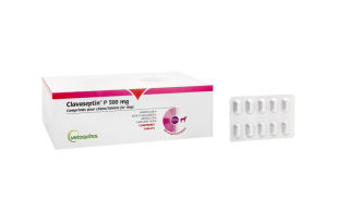 Clavaseptin® P 500 mg