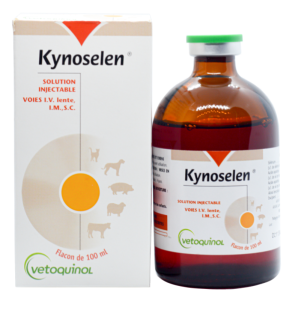 kynolesen