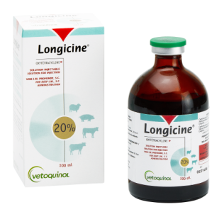 LONGICINE