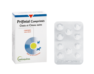 Prifinial Solution chats et chiens nains