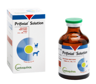 Prifinial Solution 50ml