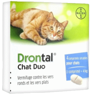 Drontal chat duo