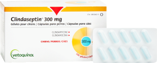 clindaseptin 300 mg gellules pour chiens