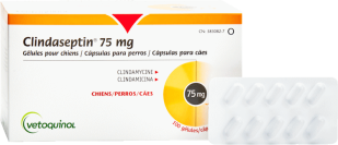 clindaseptin 75 mg géllules pour chiens