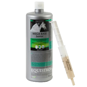 equistro mega base junior