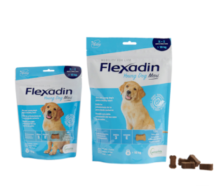 Packshot Flexadin Essentiel Chien Maxi